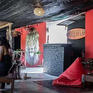 House Of Lion , Pantai Cenang (Langkawi) Malaisie